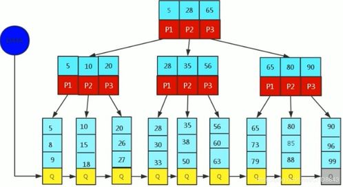 數據庫高級特性 索引、視圖、存儲函數及數據處理服務